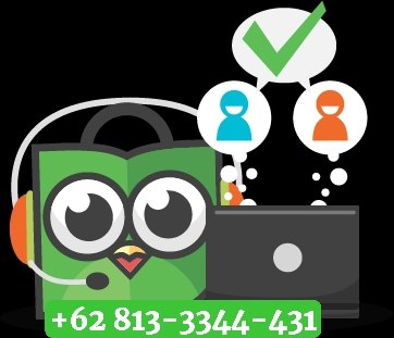 Berapa WhatsApp Tokopedia?