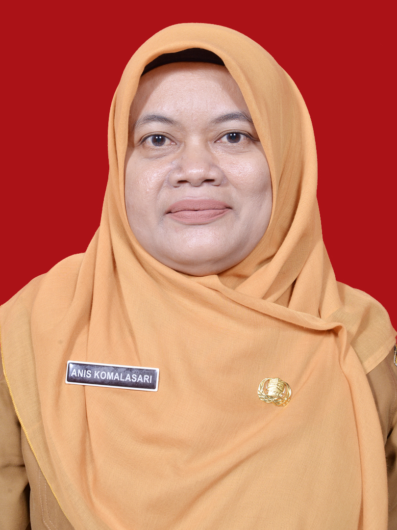 ANIS KOMALASARI, ST