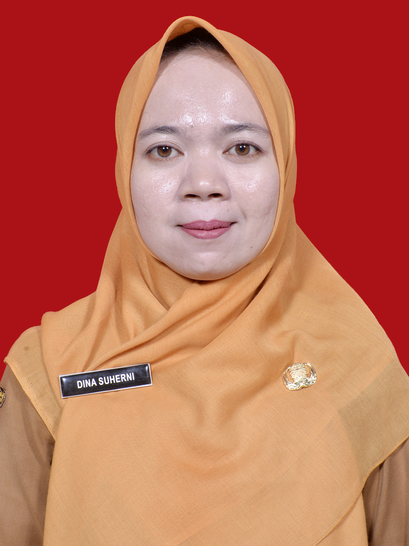 DINA SUHERNI, S.Pd
