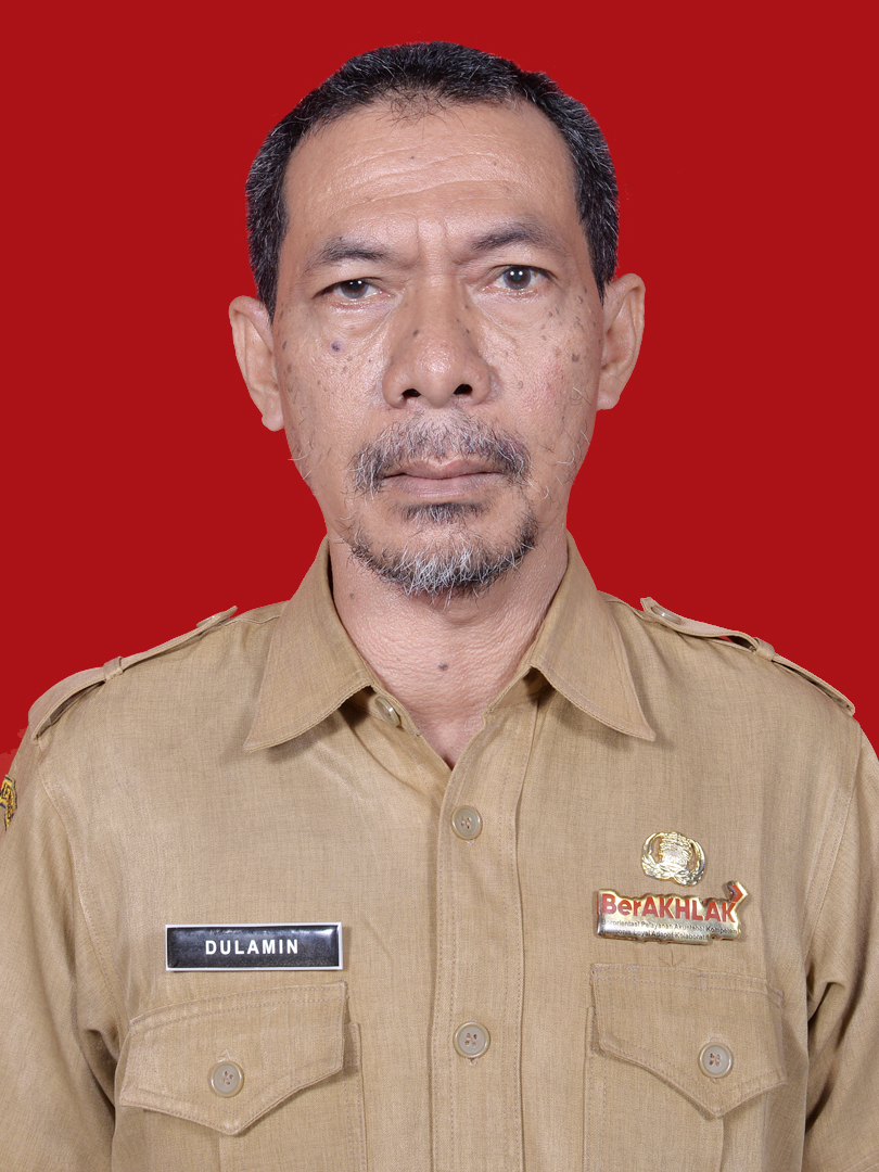 DULAMIN