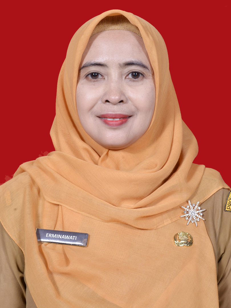 ERMINAWATI, S.Pd