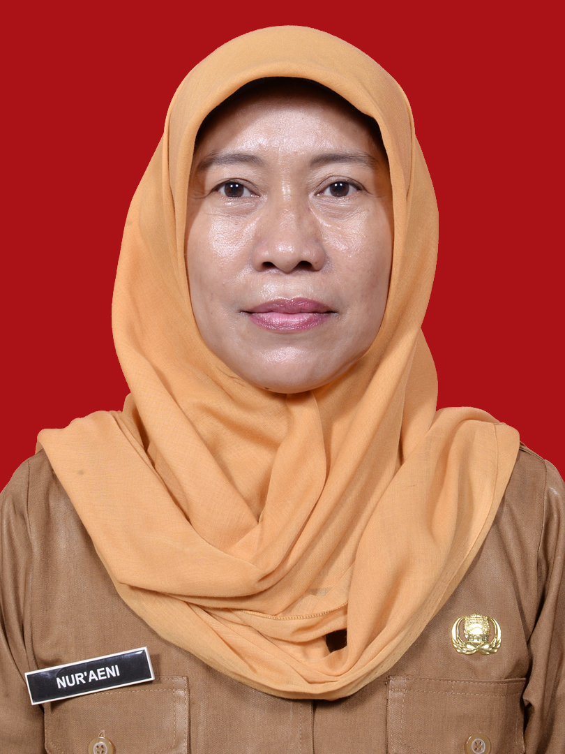NUR'AENI, S.Pd
