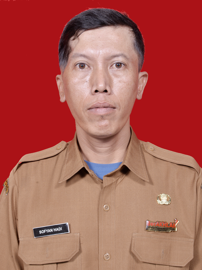 SOFYAN HADI